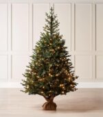 Norway Christmas Tree